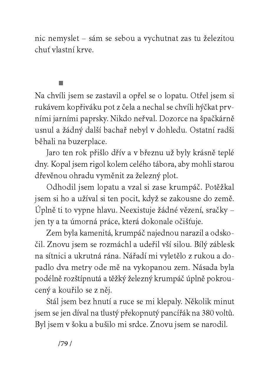 Lustr pro papeže