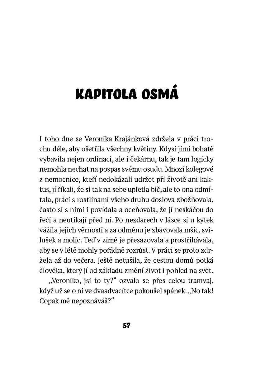 Hrdina od Jezera Hrochů