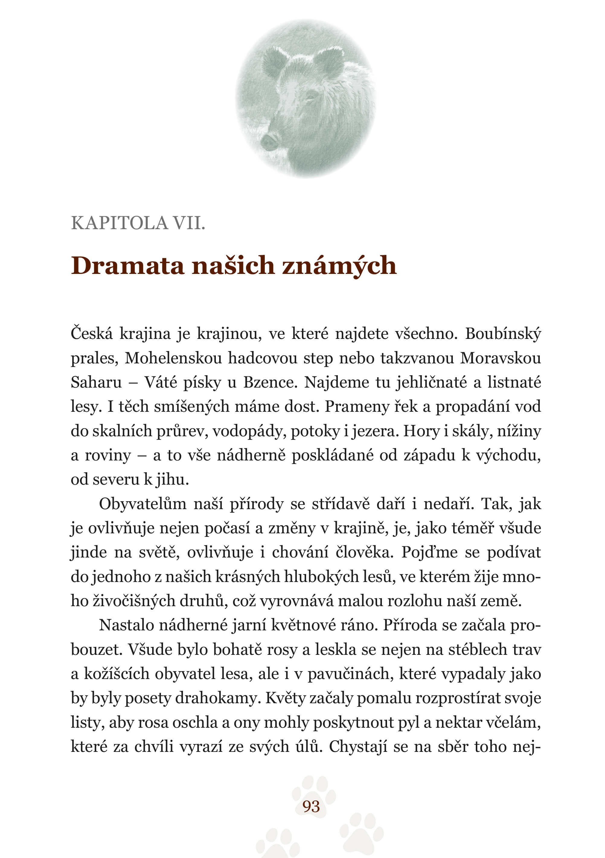 Pohledem divokých zvířat