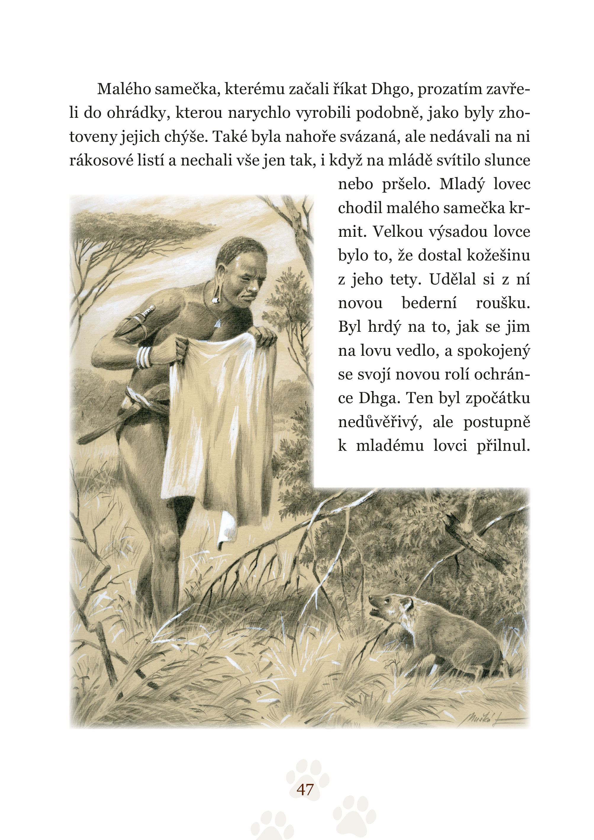 Pohledem divokých zvířat