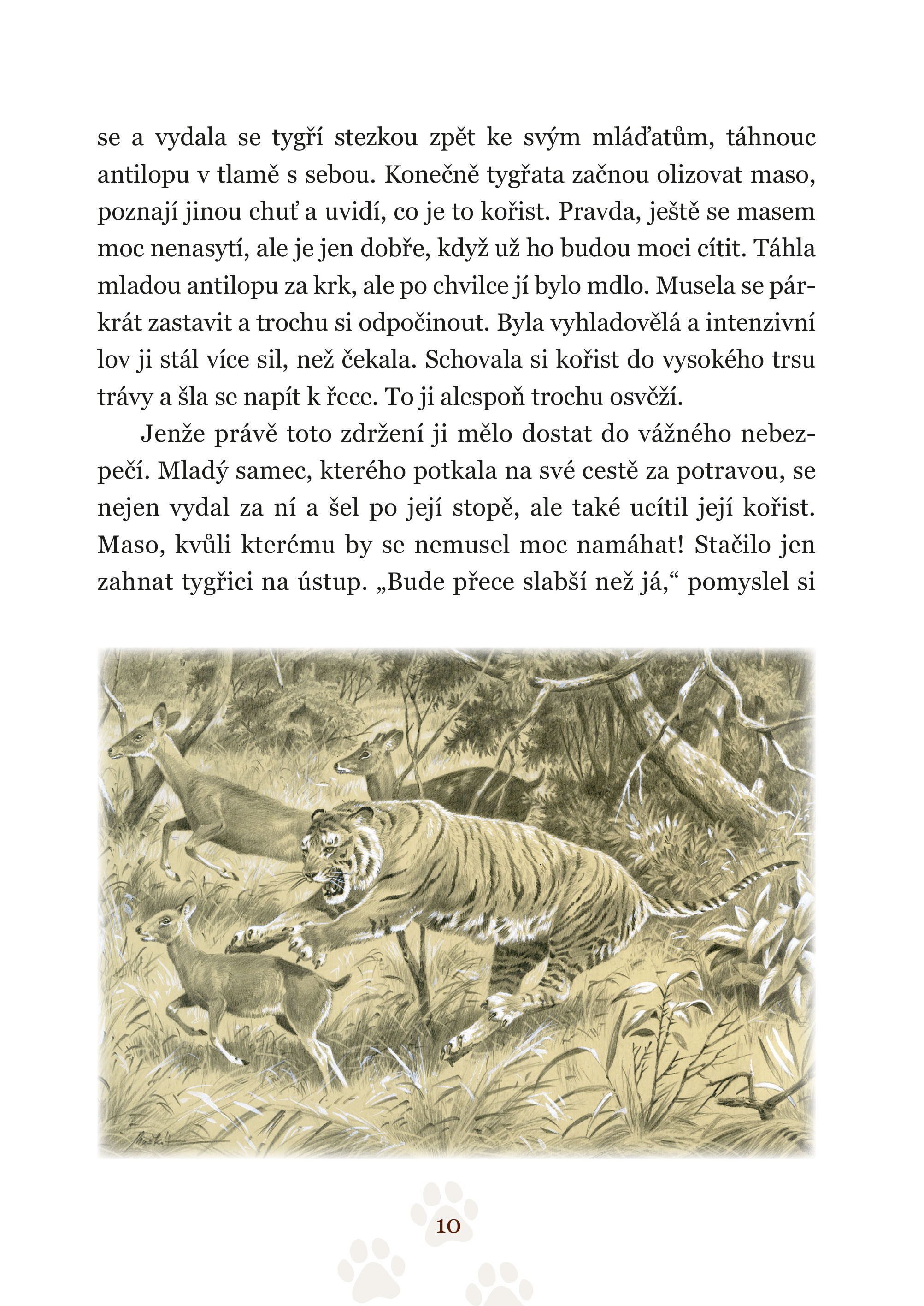 Pohledem divokých zvířat