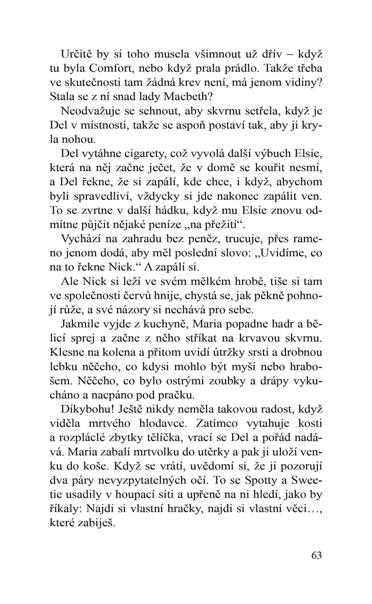 Očista