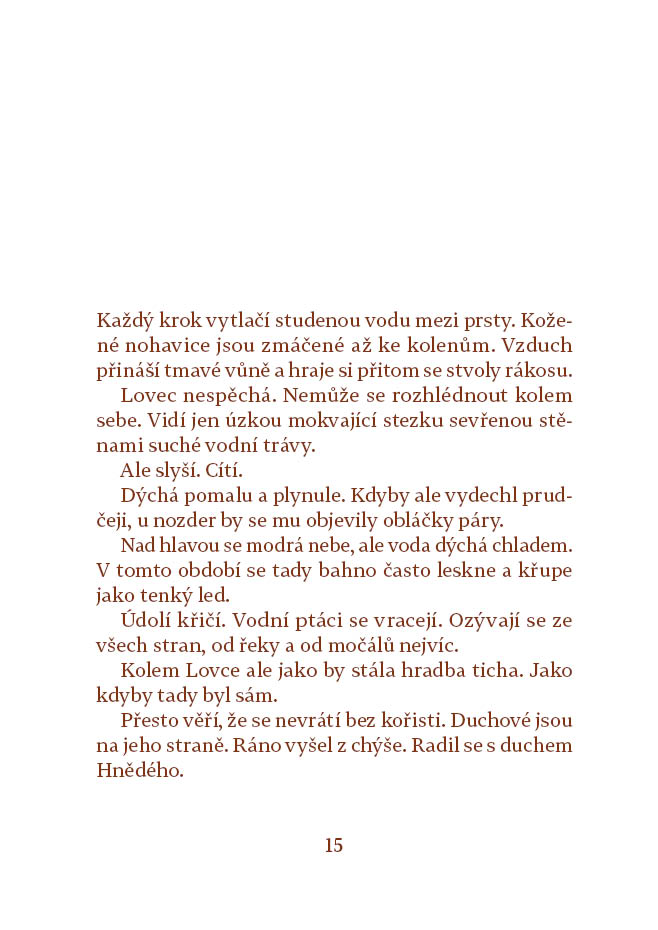 Labuť a lovec
