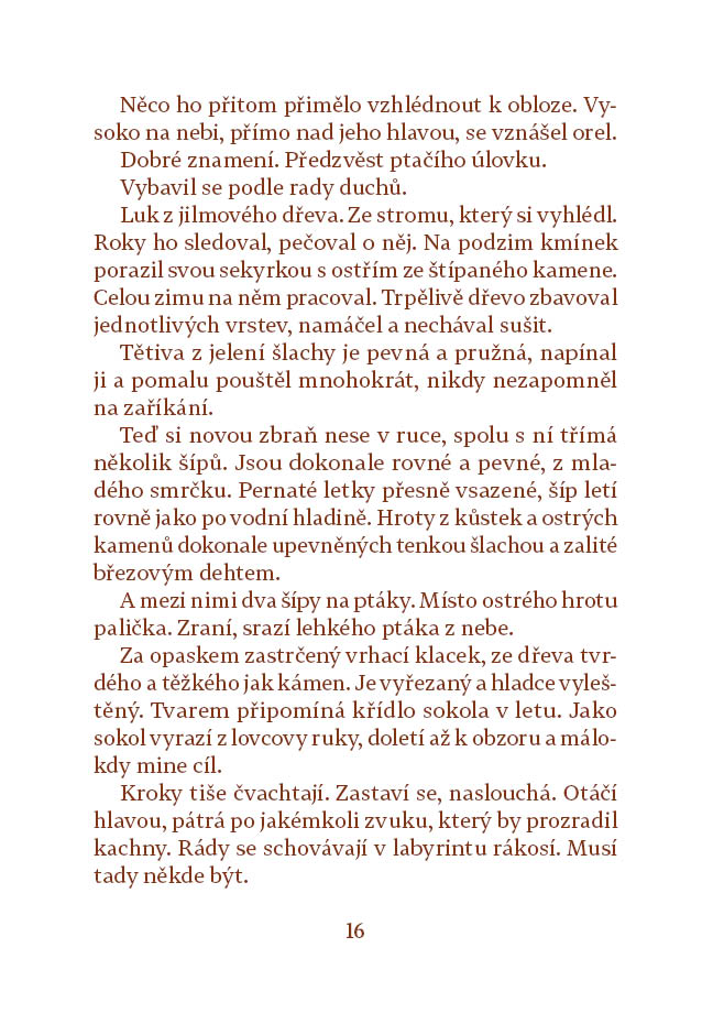 Labuť a lovec