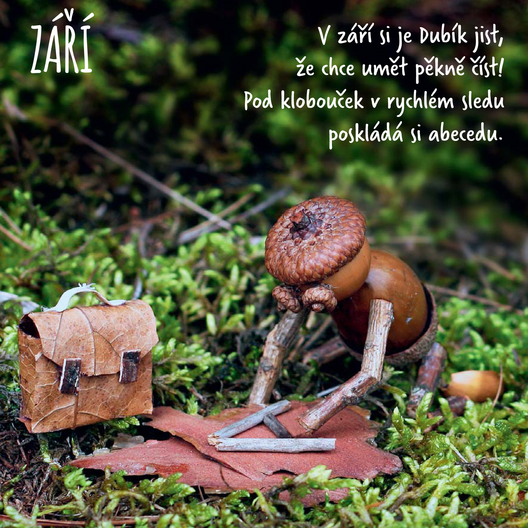 Dubánčí rok