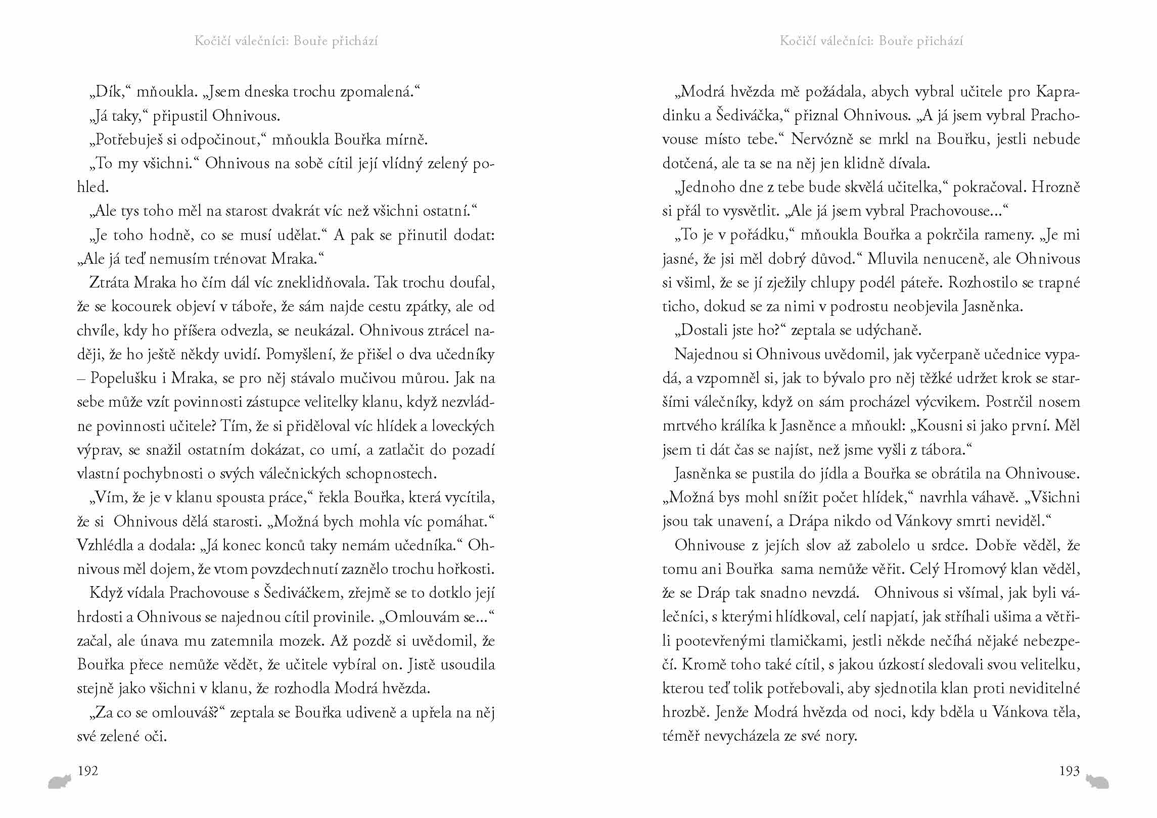 Kočičí válečníci (4) - Bouře přichází