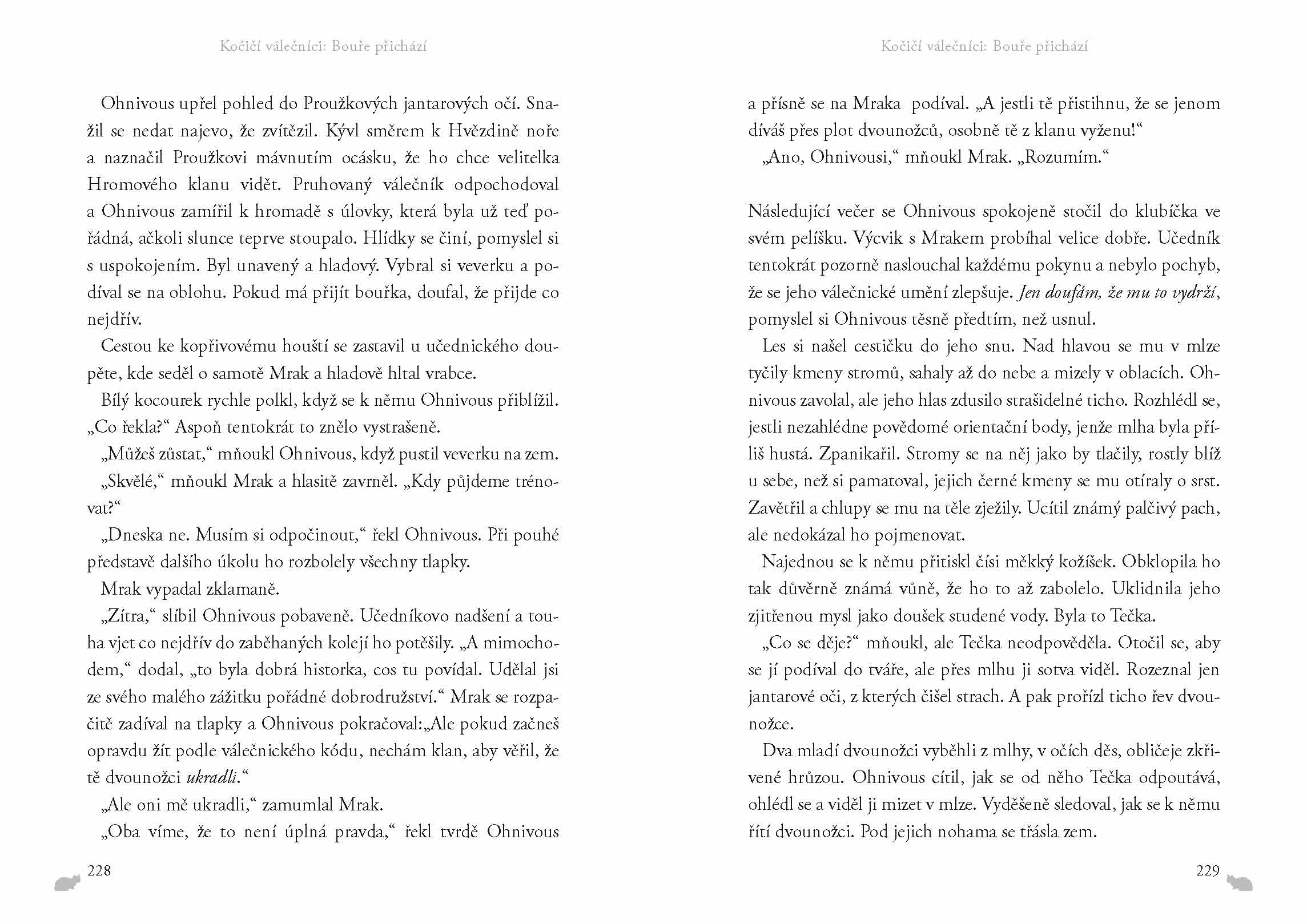 Kočičí válečníci (4) - Bouře přichází