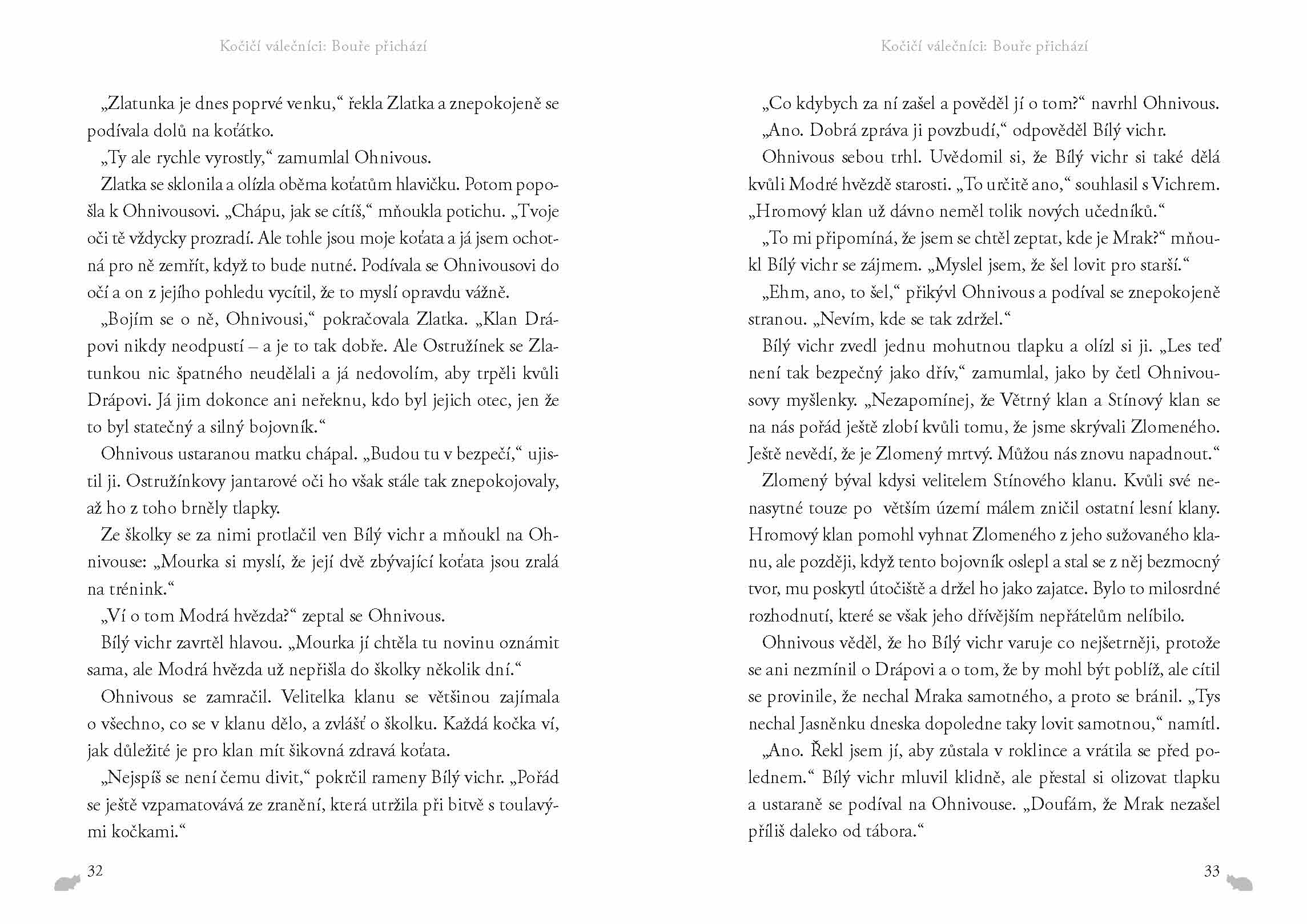 Kočičí válečníci (4) - Bouře přichází