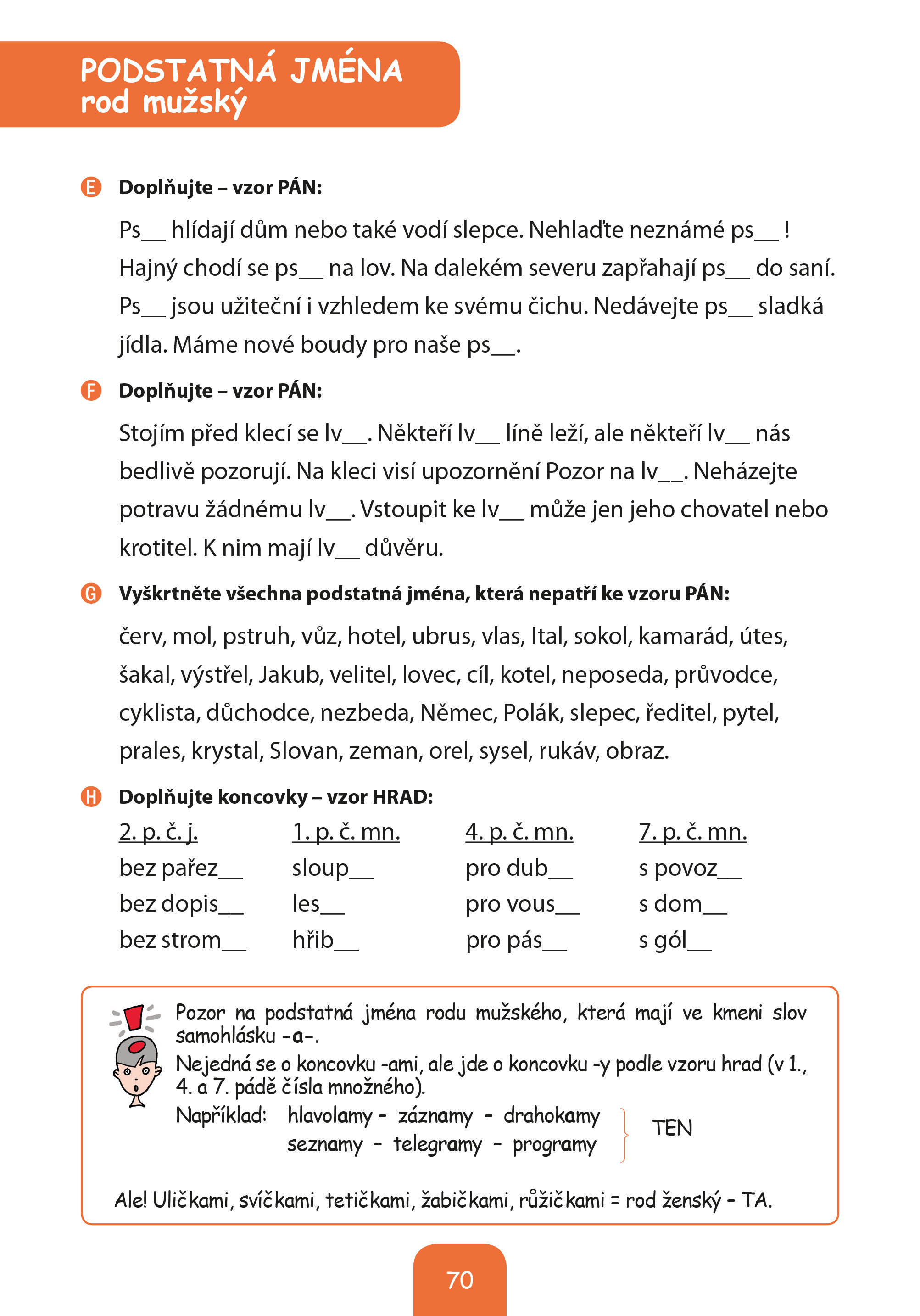 Procvičujeme i/y