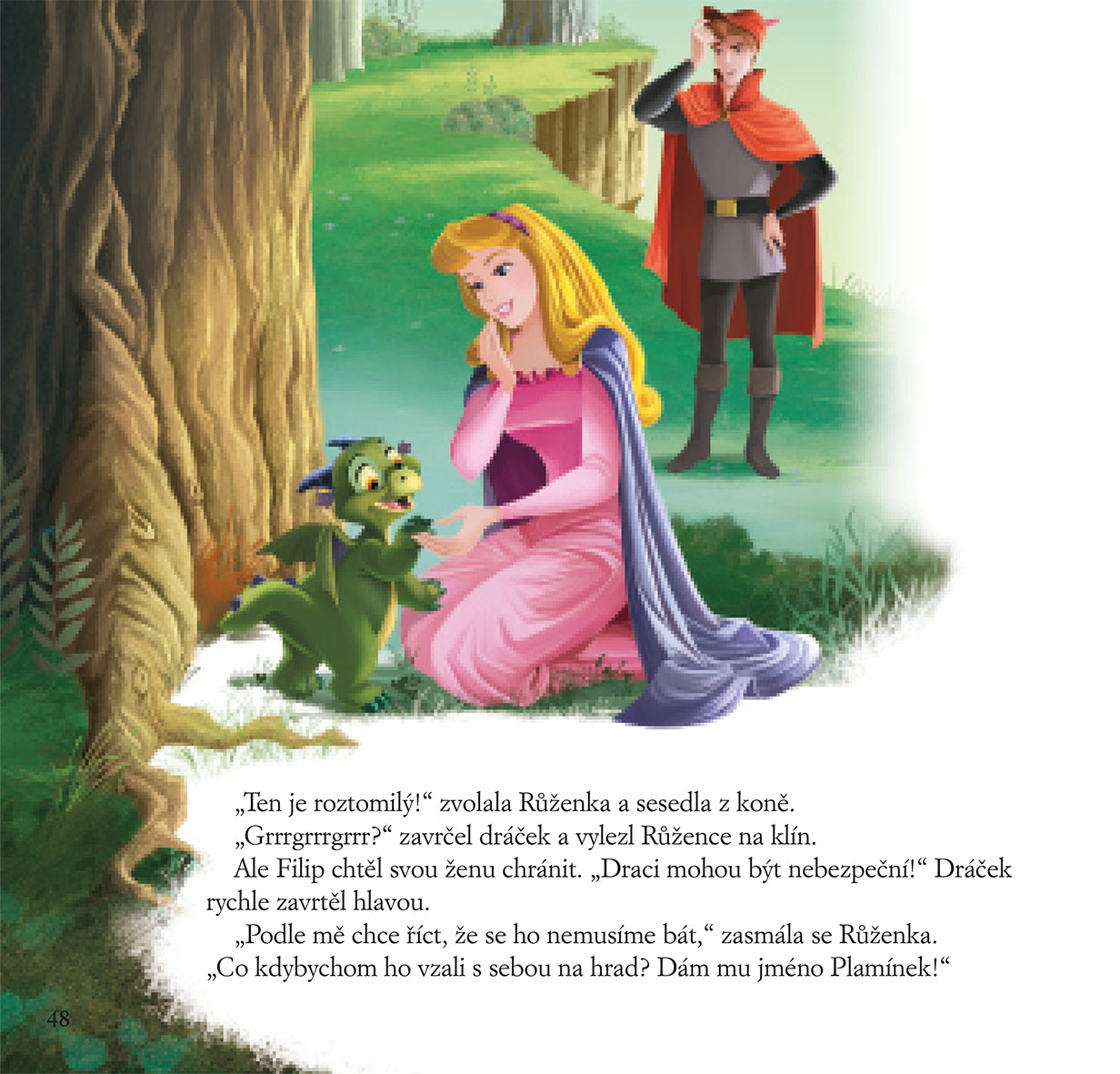 Princezna - Povídání o princeznách