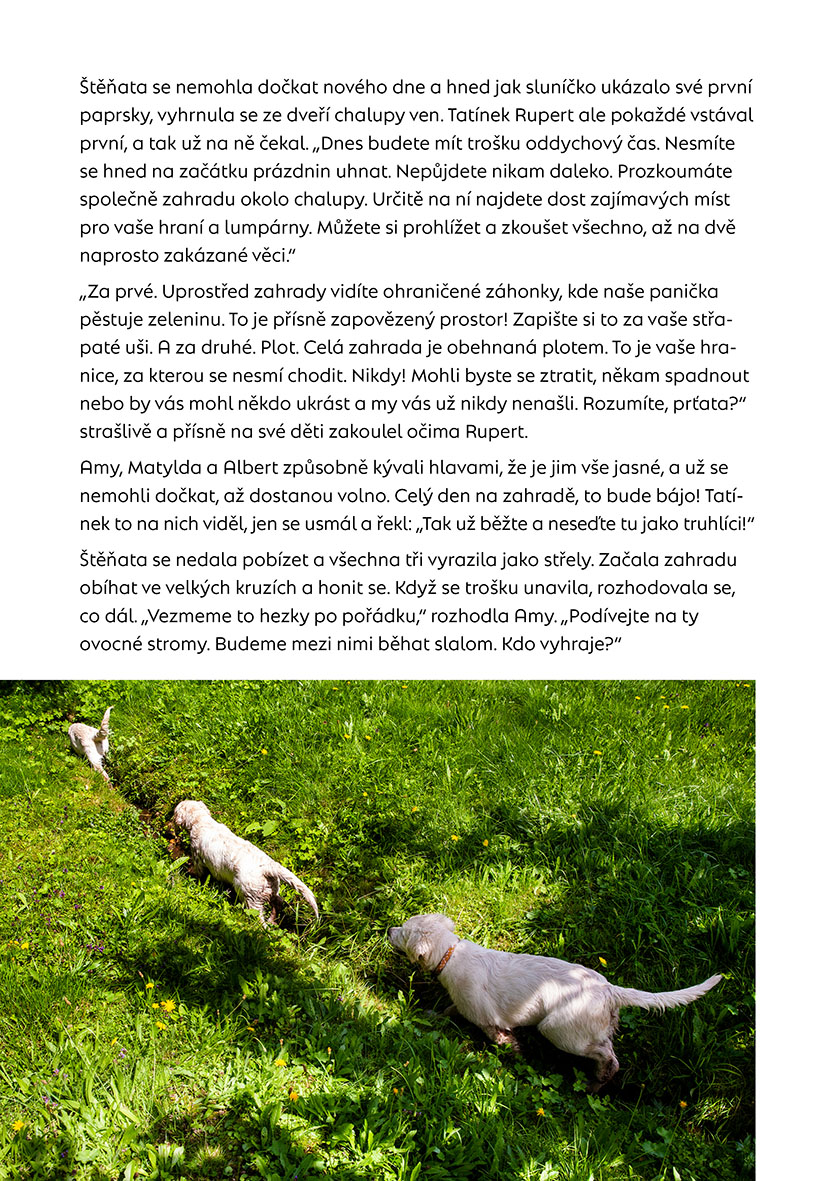 Štěňata na prázdninách 