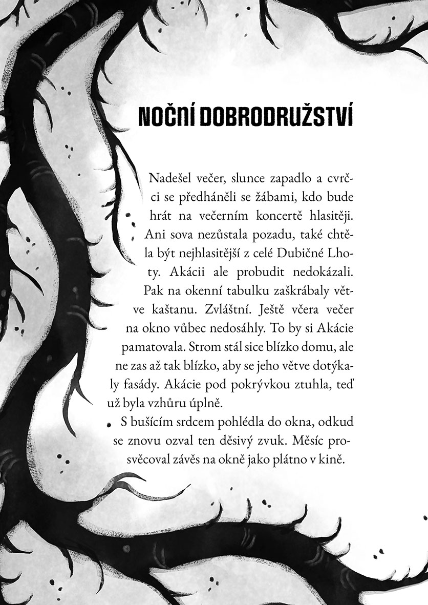 Strážkyně lesa