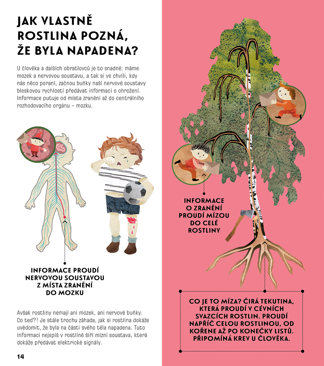Porozuměj řeči rostlin