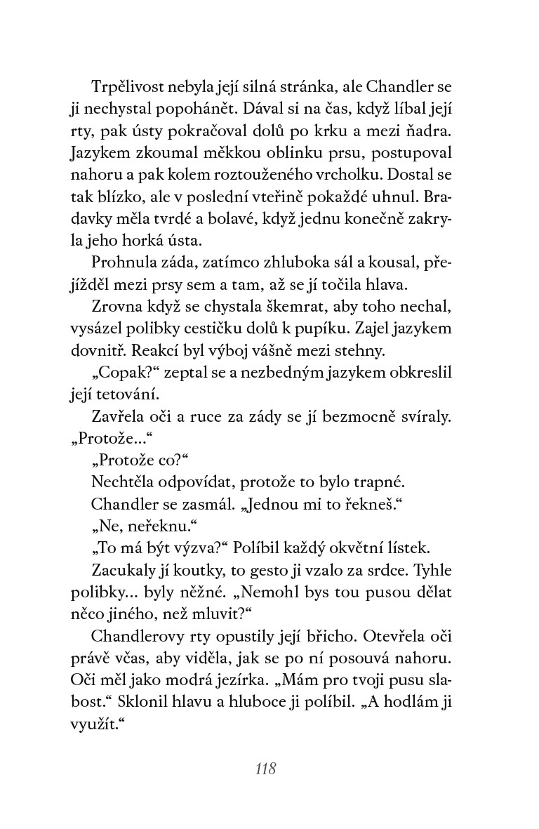 Ochránce v pokušení