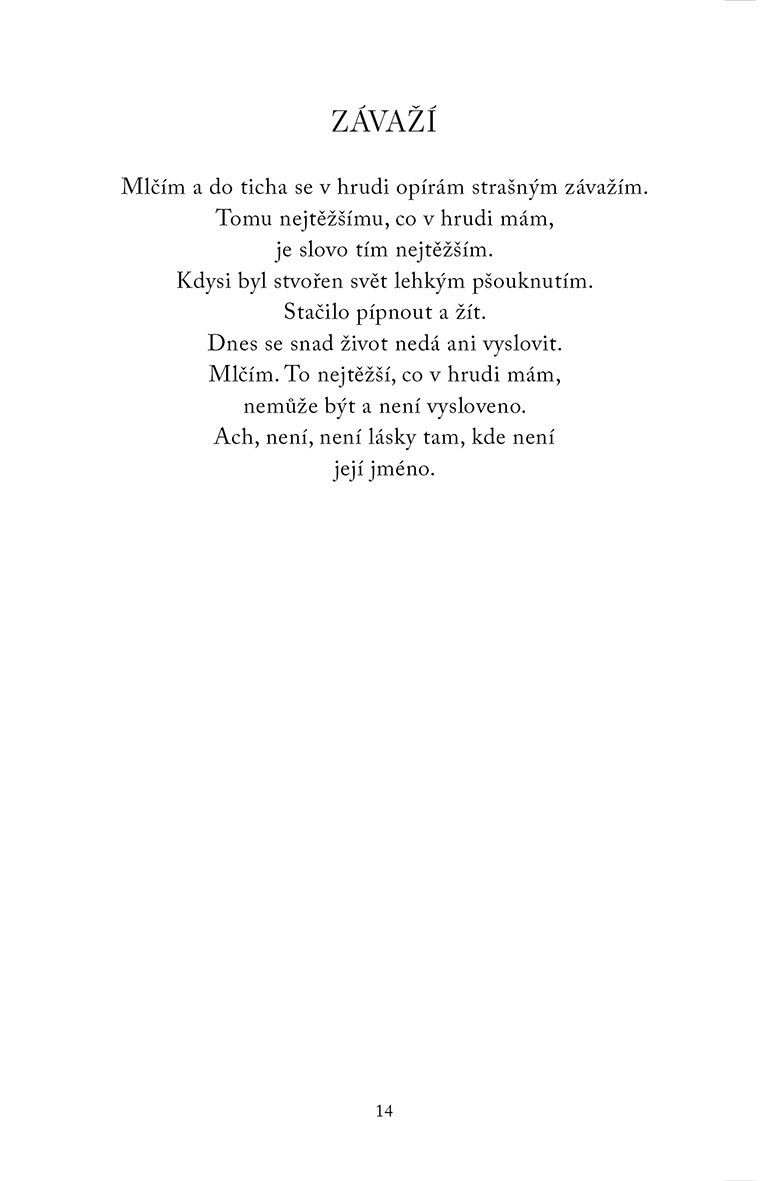 Pták na koni
