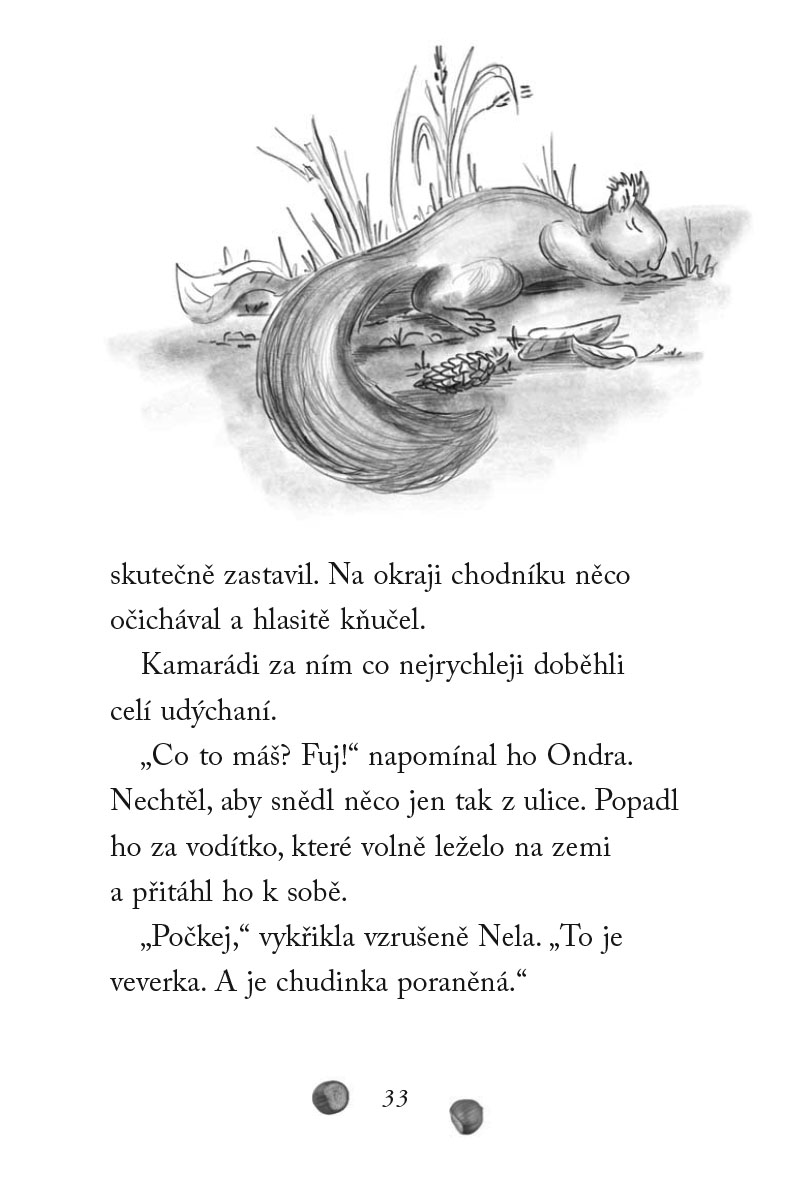 Nové příběhy se šťastným koncem – Starostlivá veverka