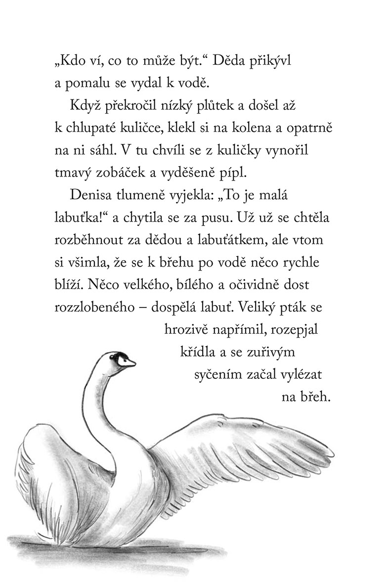 Nové příběhy se šťastným koncem – Zraněné labuťátko