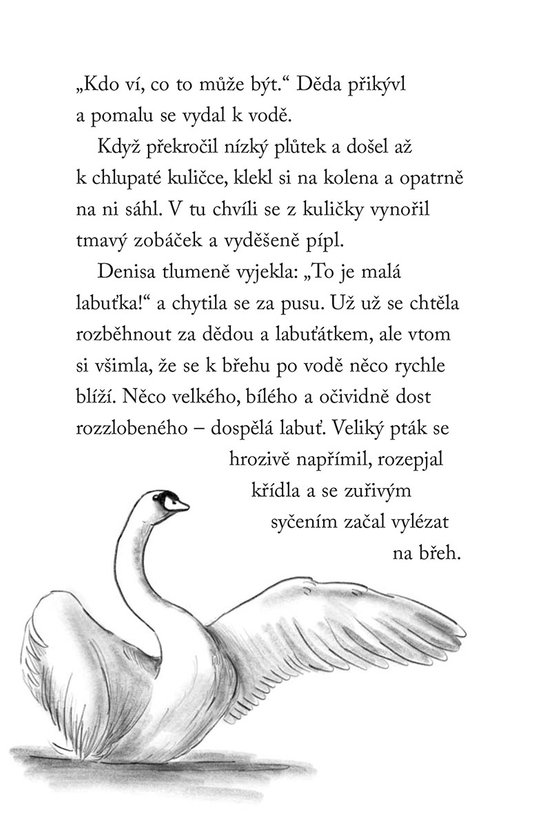 Nové příběhy se šťastným koncem – Zraněné labuťátko