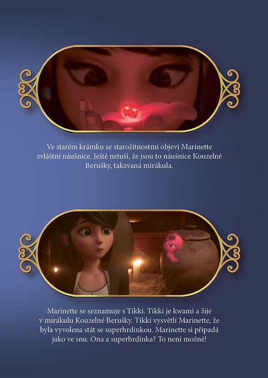Kouzelná Beruška a Černý Kocour: Filmový příběh