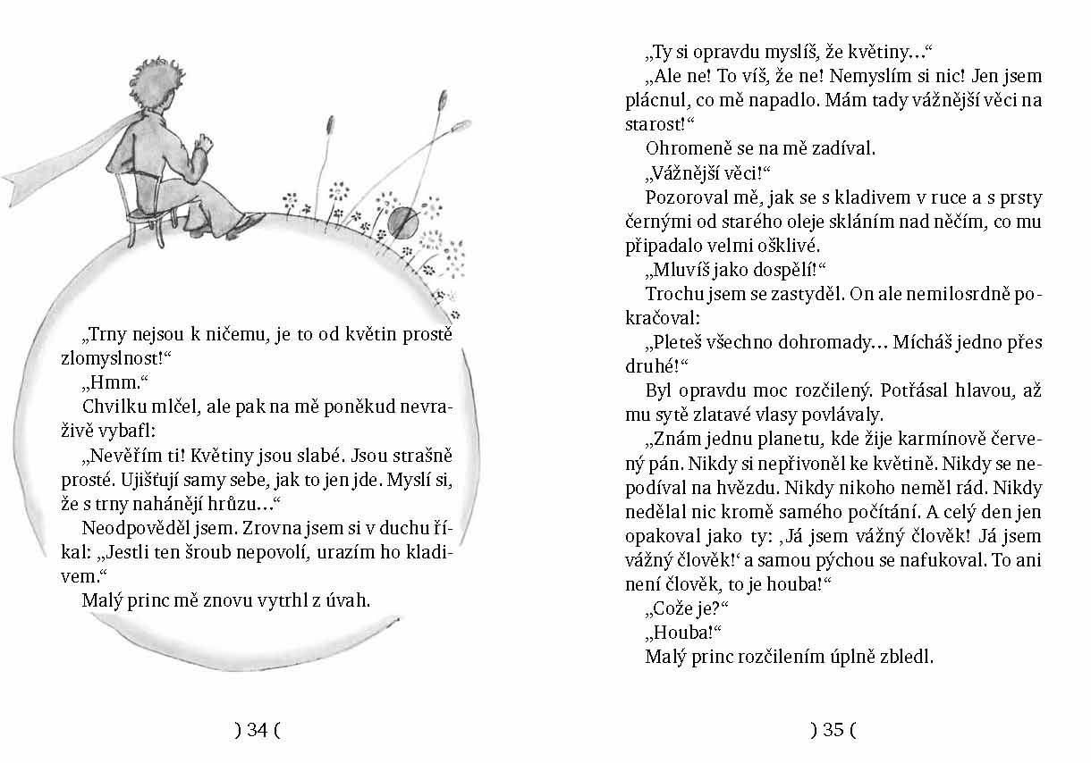 Malý princ - kolibří vydání