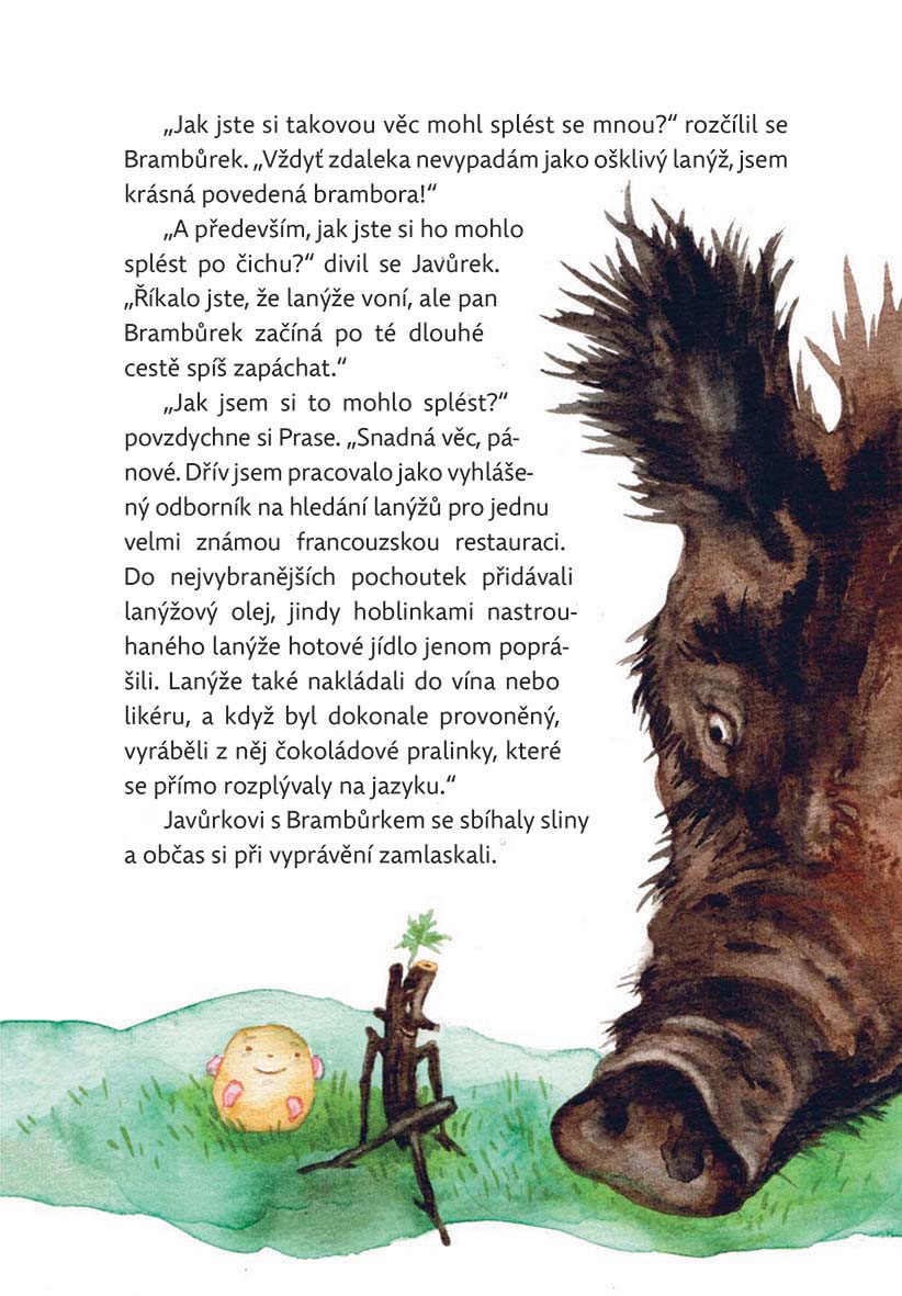 Putování Brambůrka a Javůrka