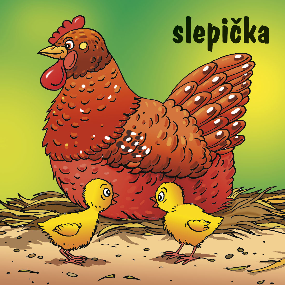 Zvířátka na dvorku