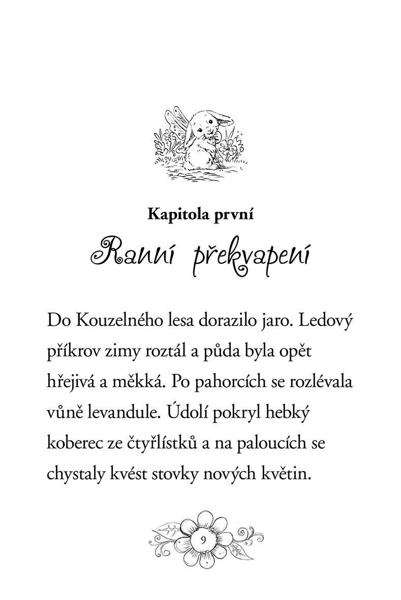 Zvířátka z Kouzelného lesa – Králíček Koko