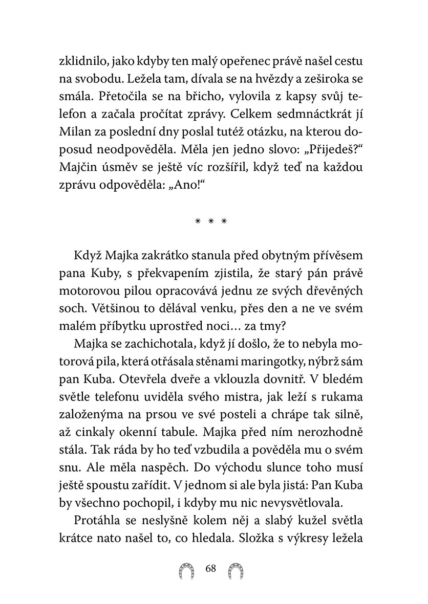 Rychlý jako vítr: Bojovnice Ari 