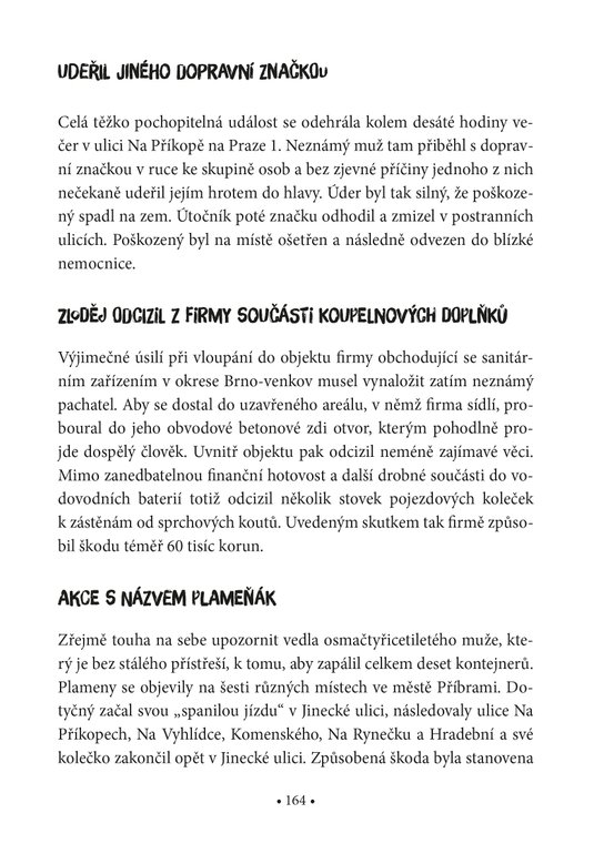 Černá kronika městské policie 
