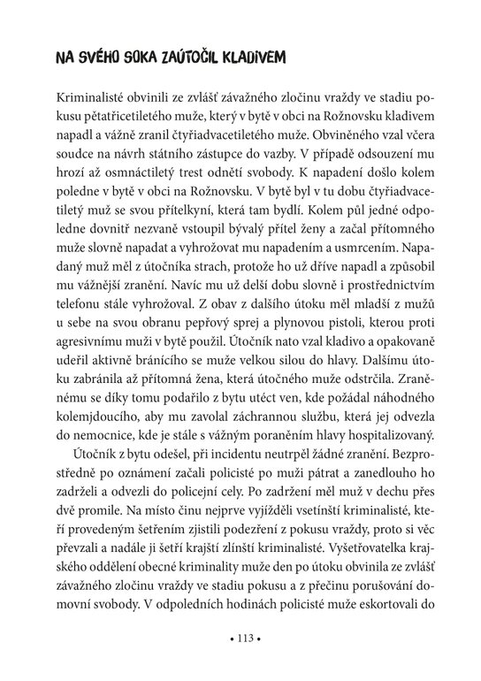 Černá kronika městské policie 