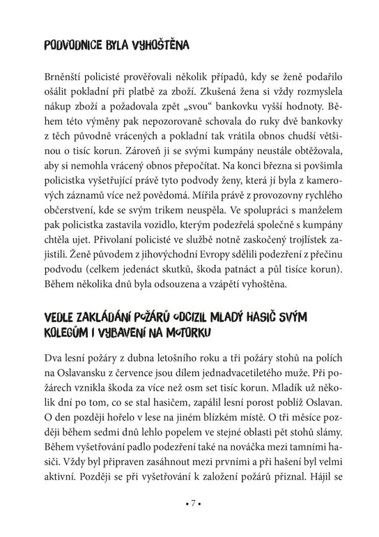 Černá kronika městské policie 