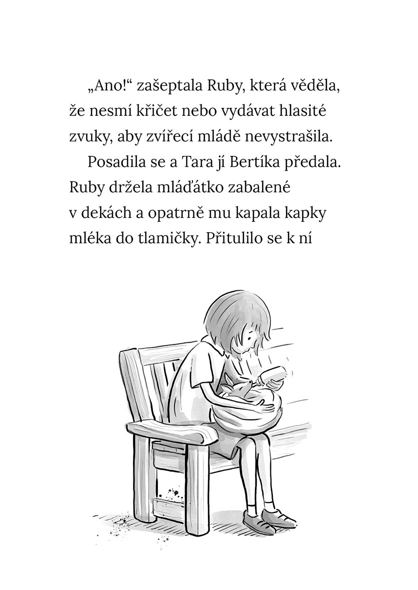 Osiřelá koala