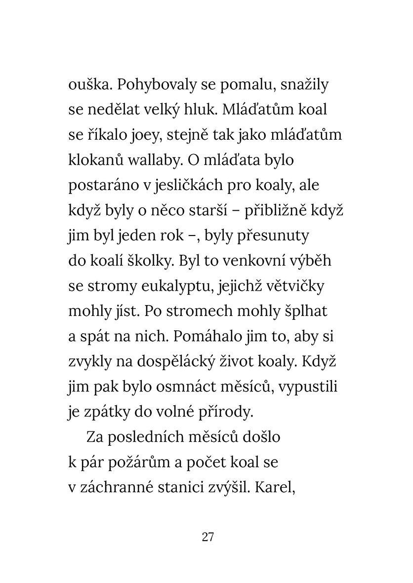 Osiřelá koala