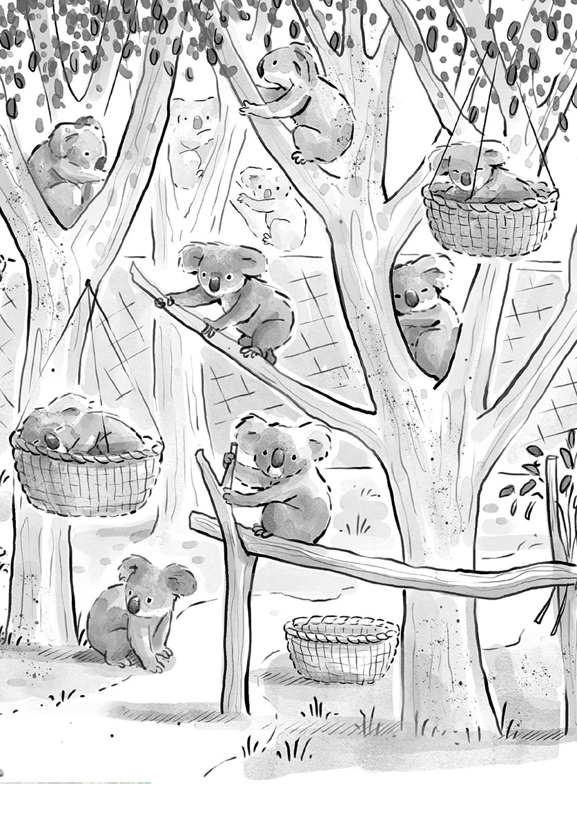 Osiřelá koala