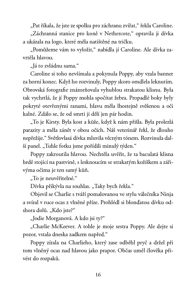 Poníci od stříbrné řeky – Dům na vřesovišti