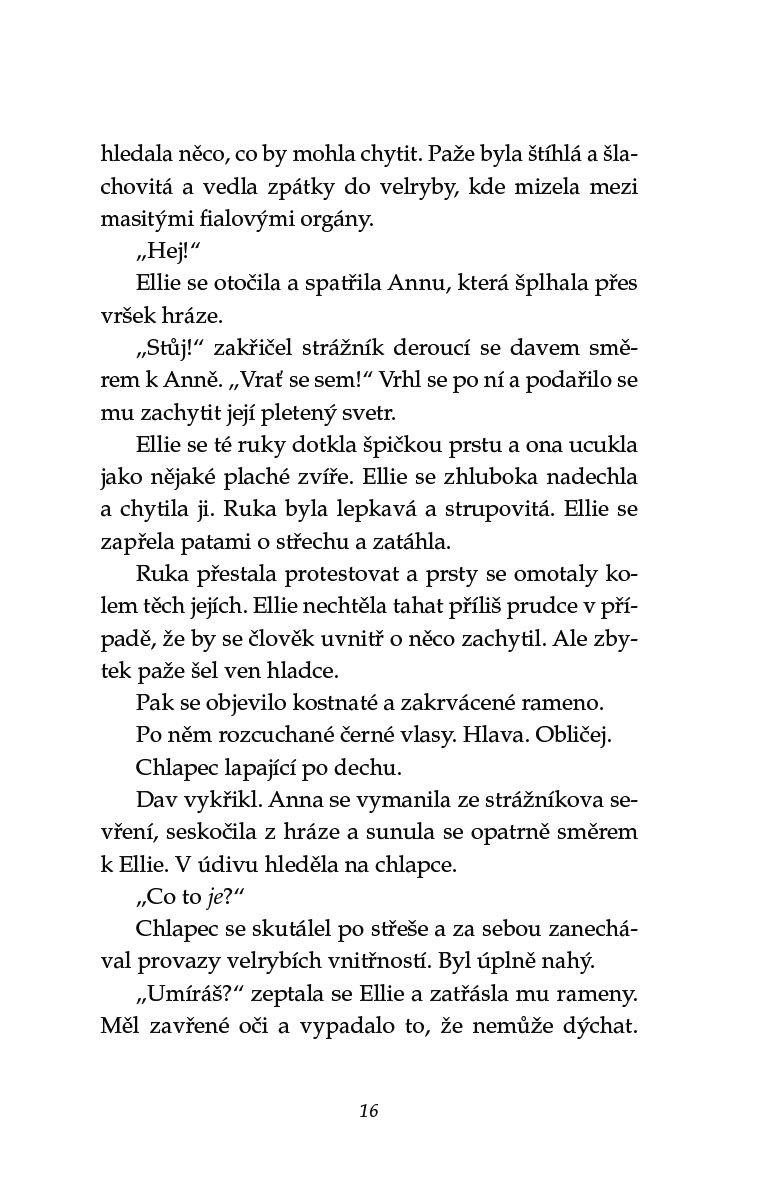 Sirotci přílivu 