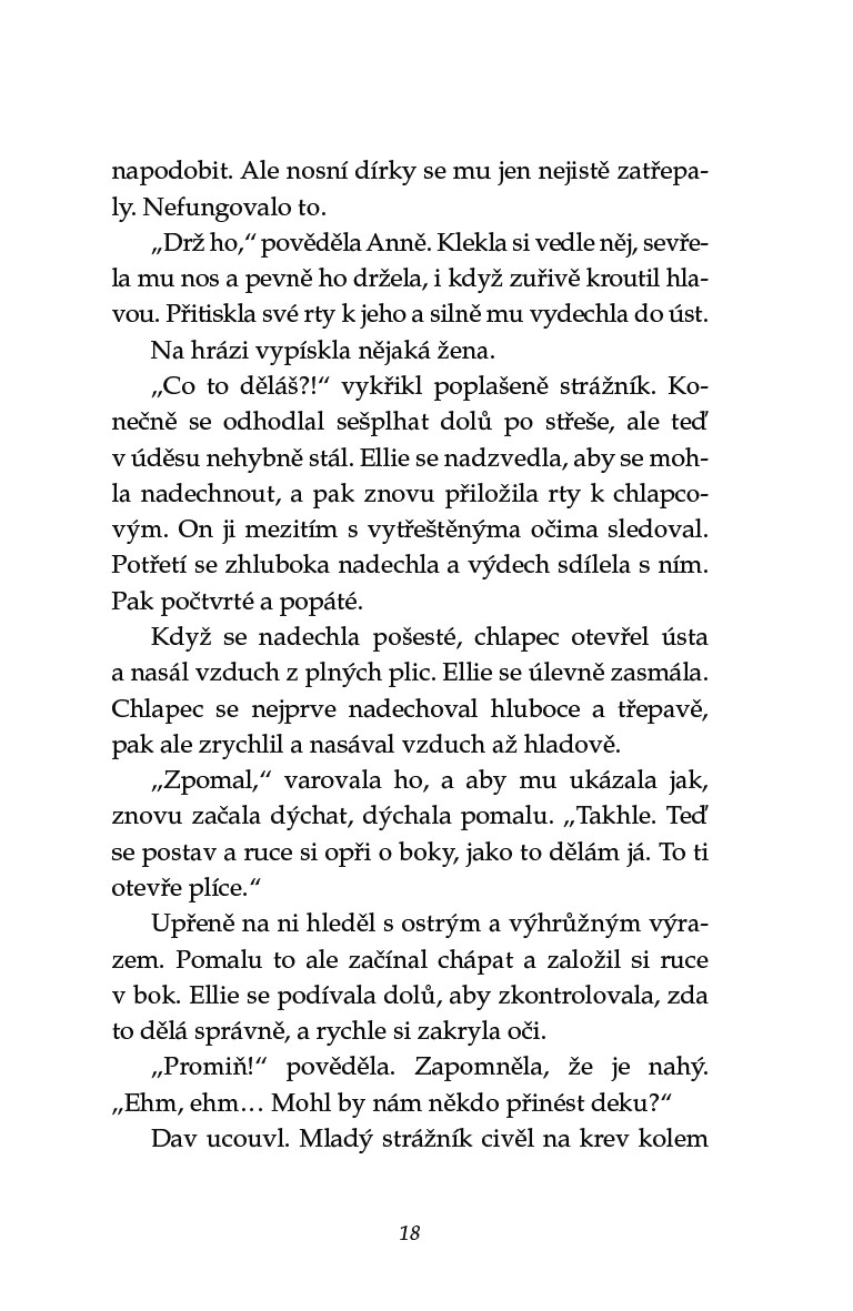 Sirotci přílivu 