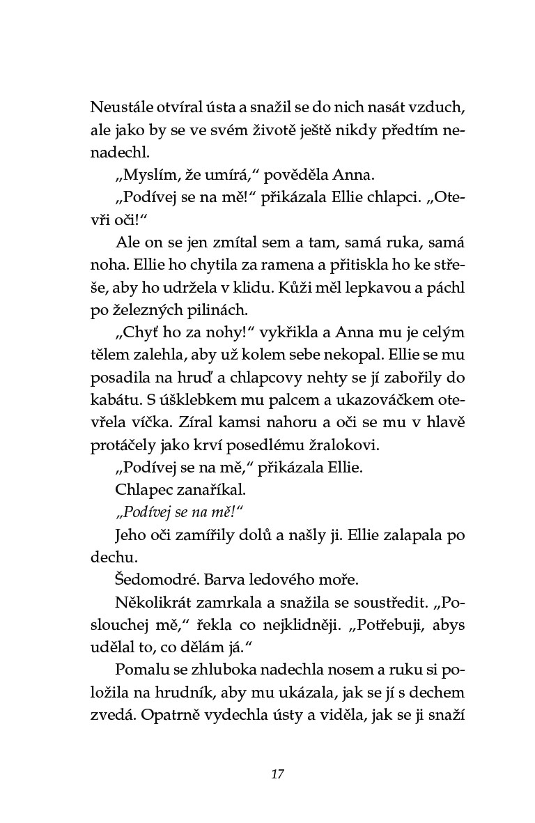 Sirotci přílivu 