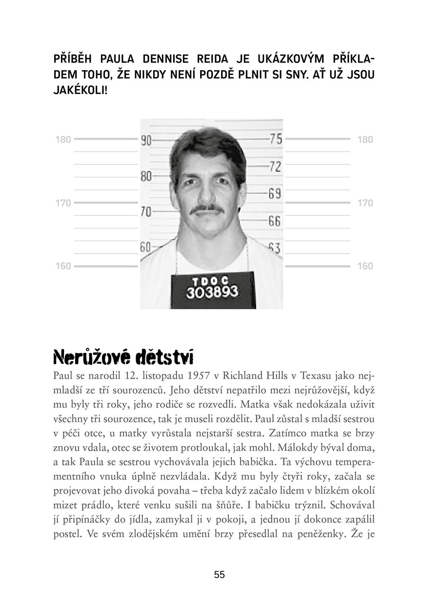 Opravdové zločiny 2