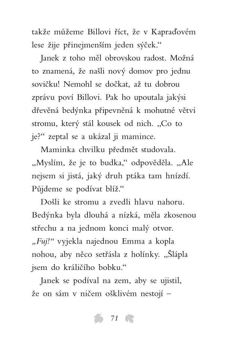 Příběhy se šťastným koncem - Zachráněná sovička