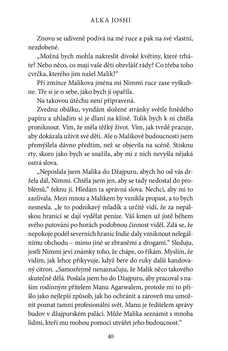 Tichý strážce 