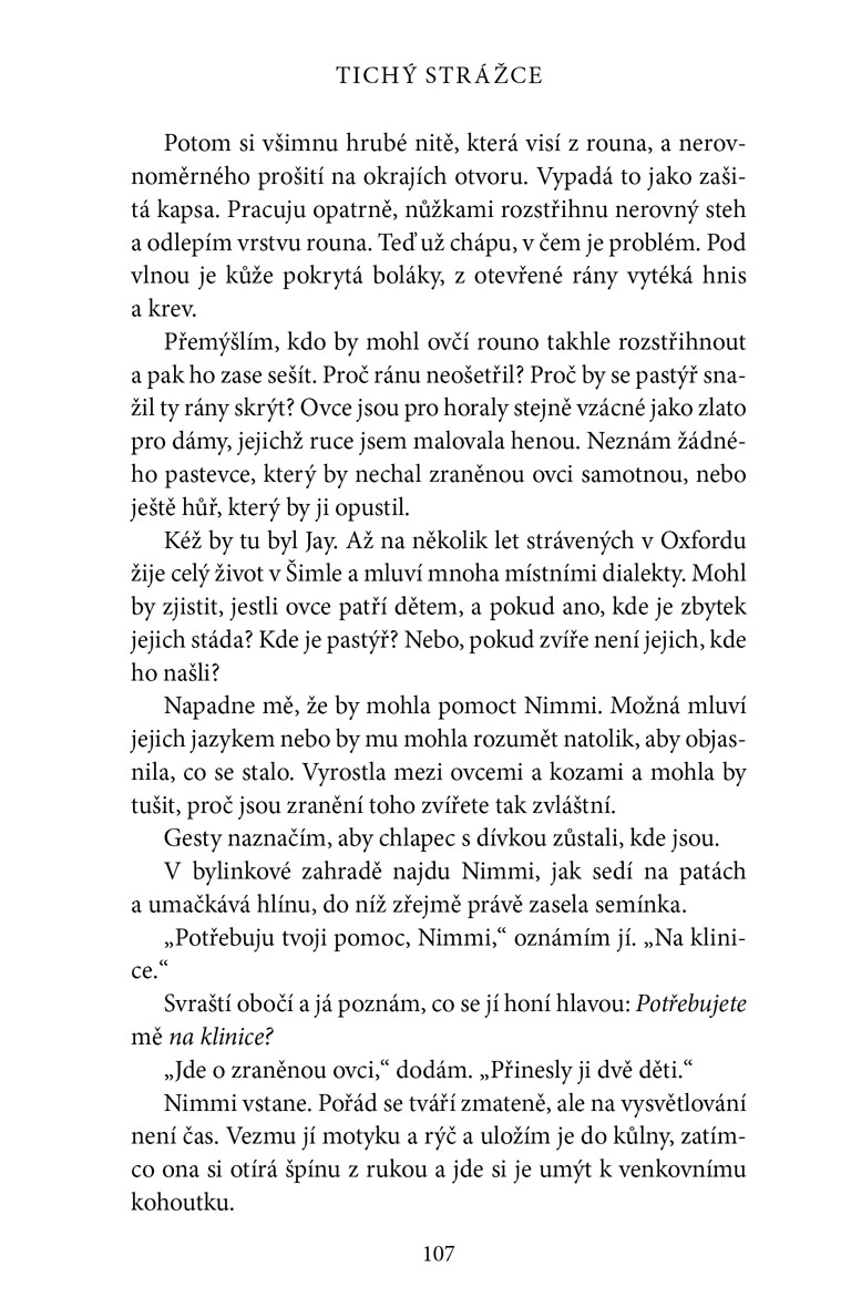 Tichý strážce 
