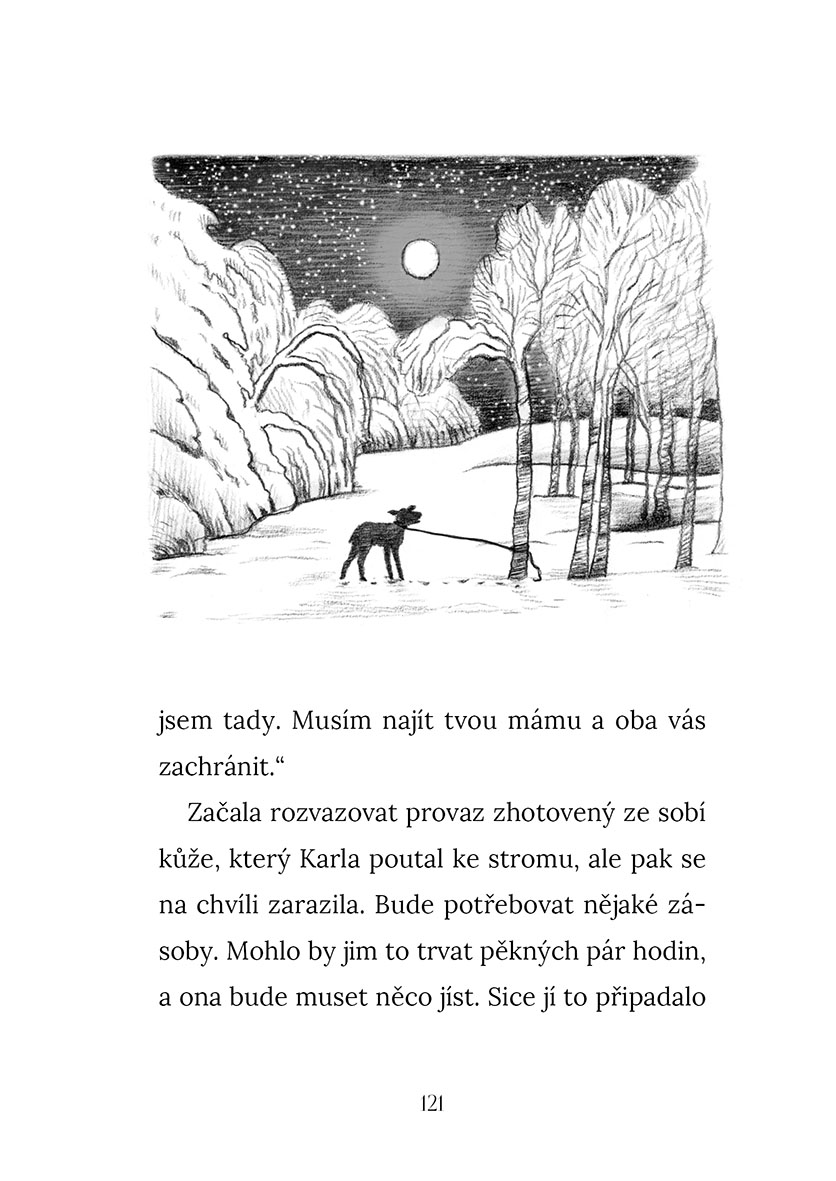 Vánoční příběhy: Sobí přání