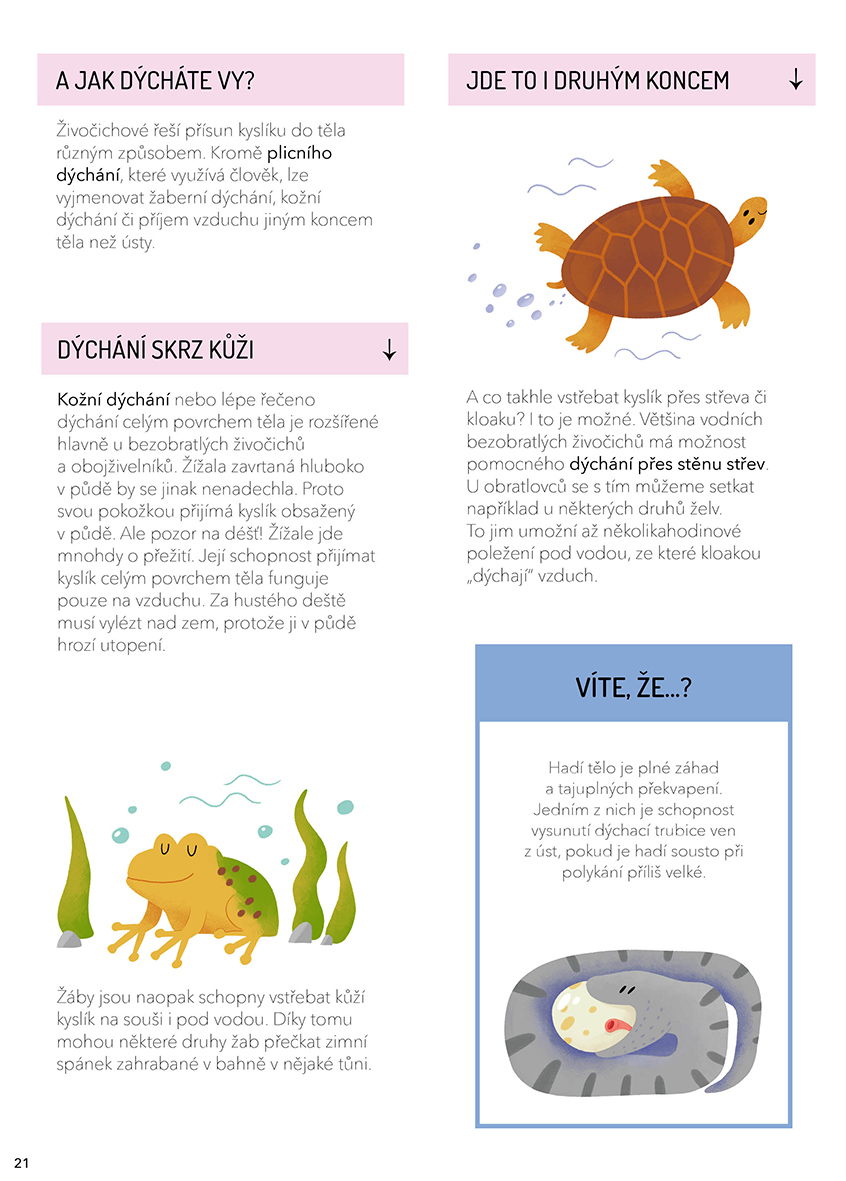 Prozkoumejte těla zvířat