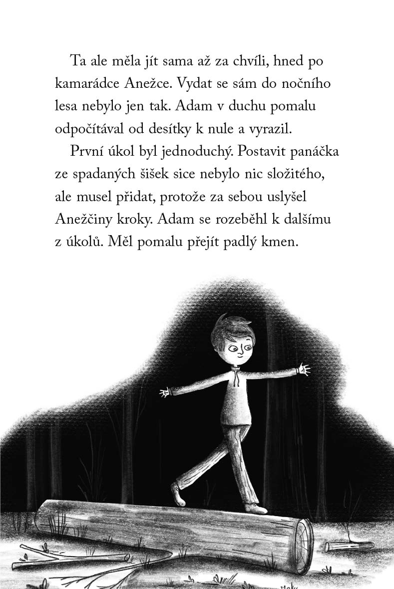 Nové příběhy se šťastným koncem – Popletený ježeček