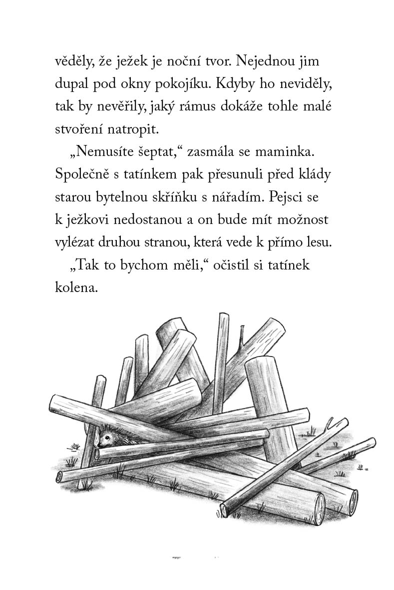 Nové příběhy se šťastným koncem – Popletený ježeček