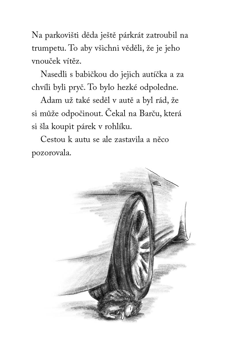 Nové příběhy se šťastným koncem – Popletený ježeček