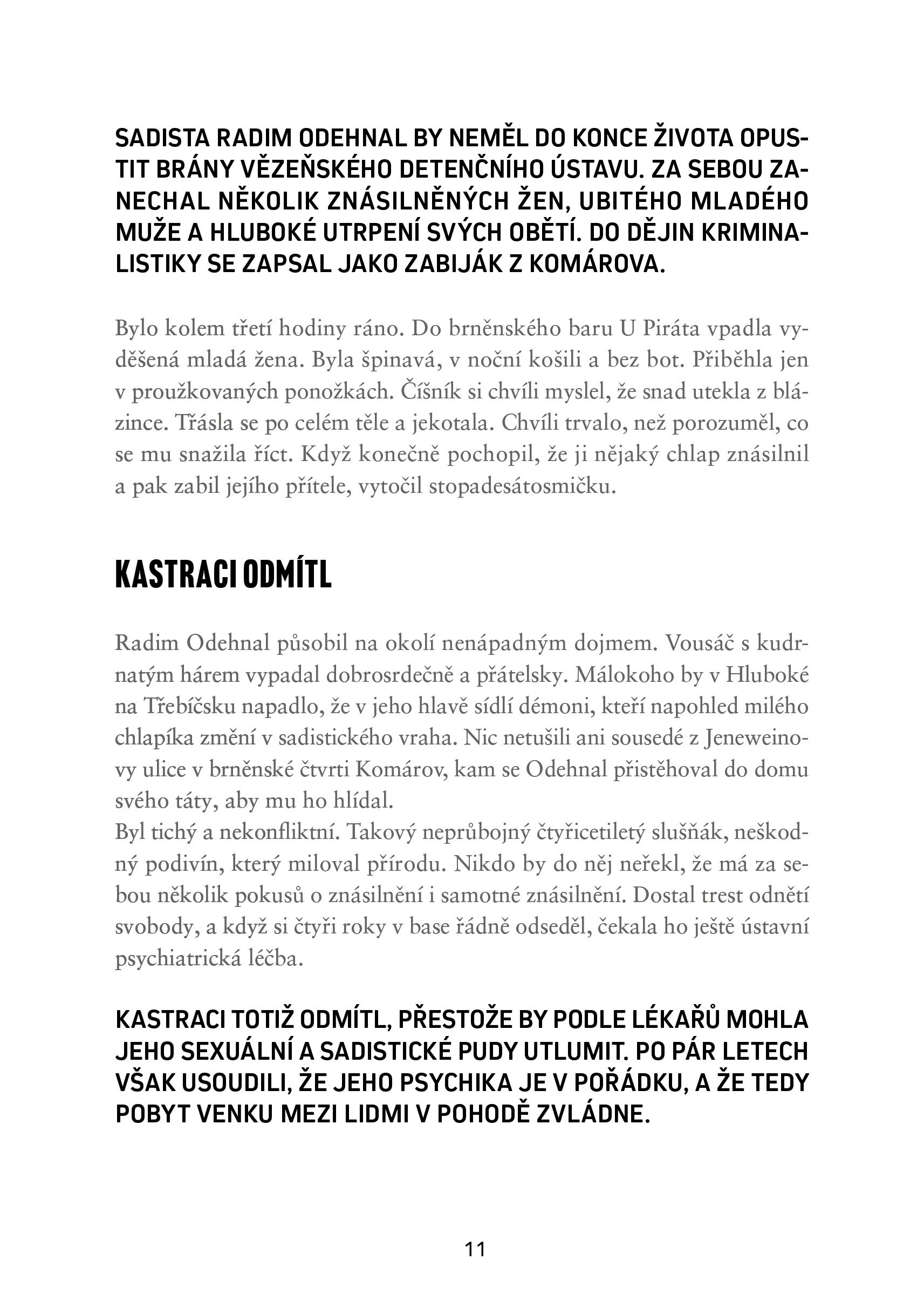 Skutečné zločiny v Brně a okolí