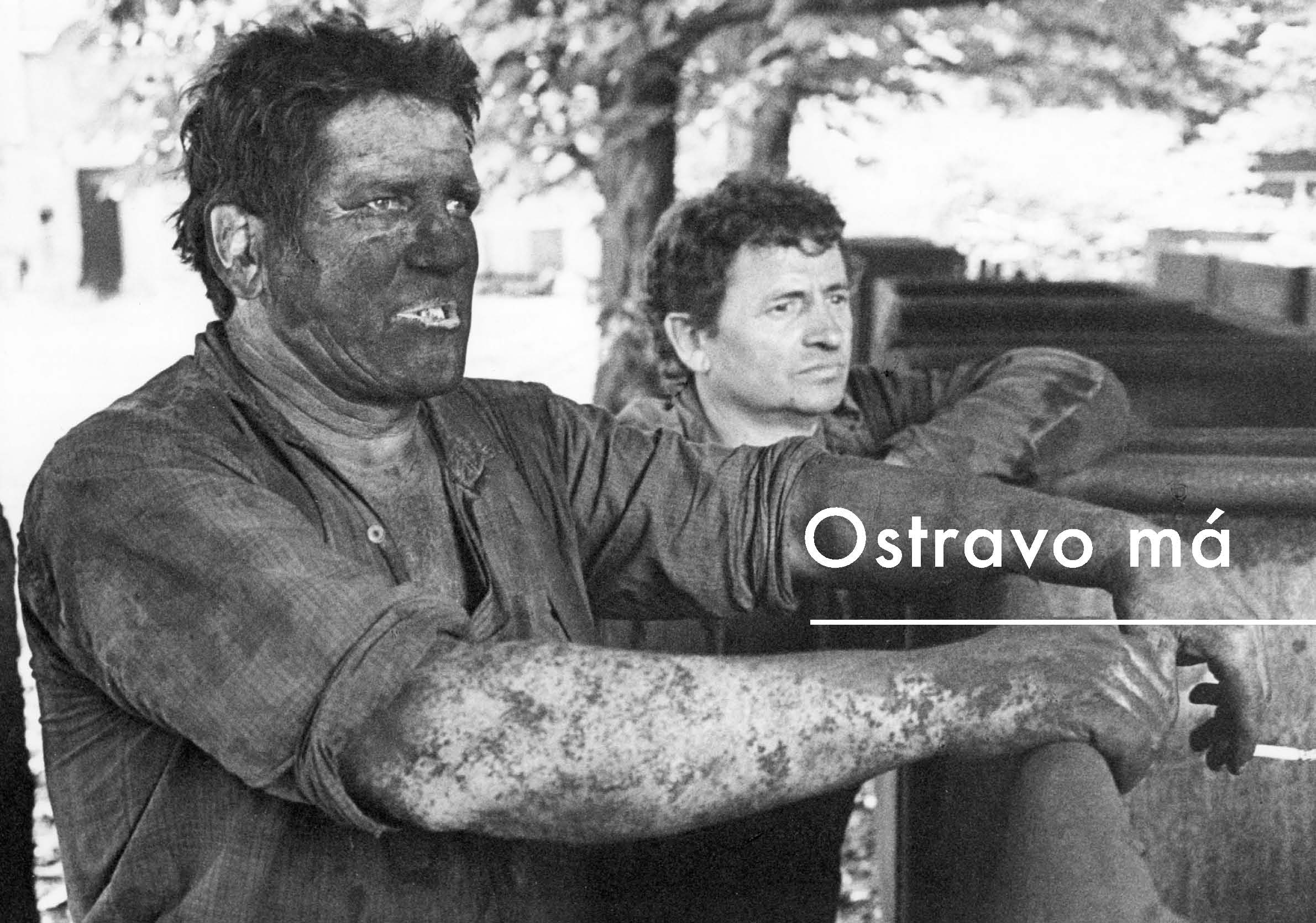 Normalizované životy II