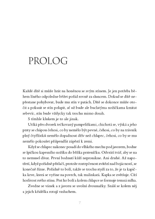 Kniha noci 